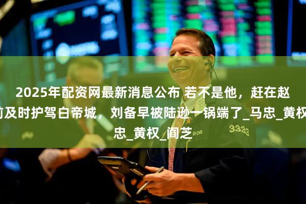 2025年配资网最新消息公布 若不是他，赶在赵云之前及时护驾白帝城，刘备早被陆逊一锅端了_马忠_黄权_阎芝
